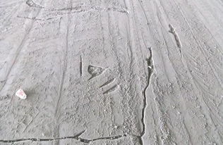 水泥地面防潮方法 雨天再也不怕潮濕，兼談建筑砌塊銷售的選擇